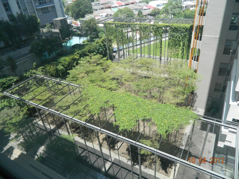 DSCN1022 DSCN1022