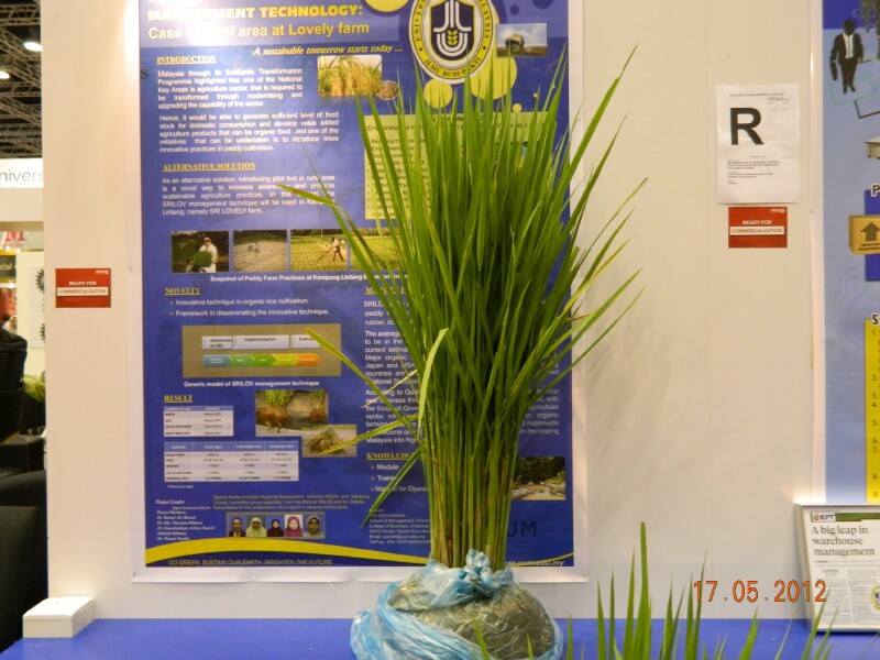 DSCN1779 DSCN1779