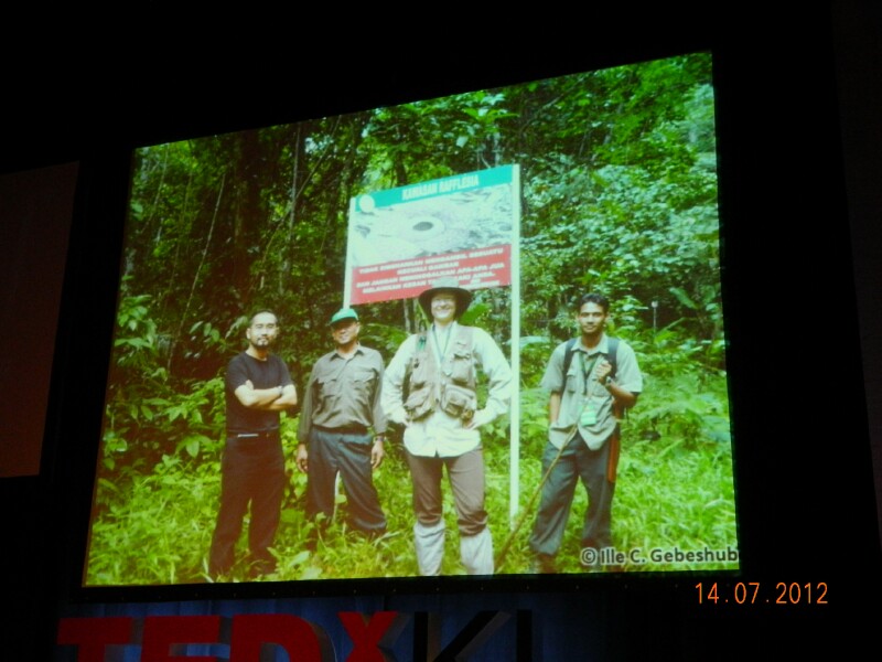 TEDxKL3771 TEDxKL3771